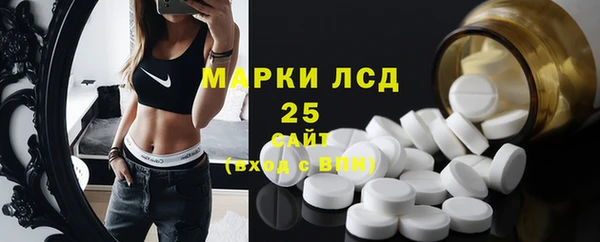 хмурый Верея