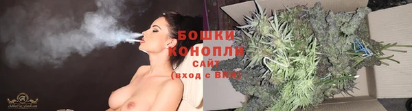 хмурый Верея