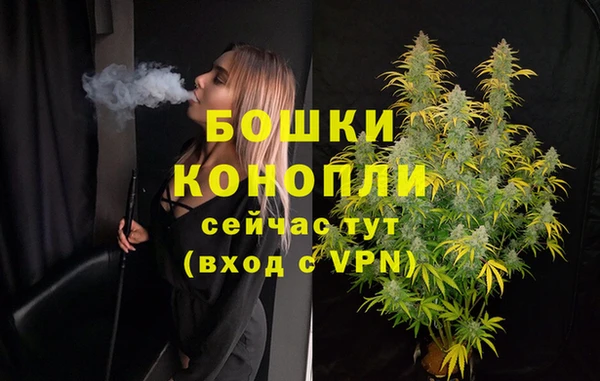 ГАЛЛЮЦИНОГЕННЫЕ ГРИБЫ Волосово