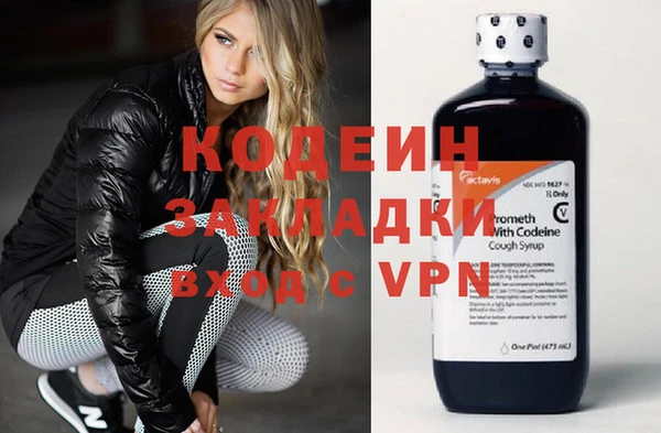 хмурый Верея