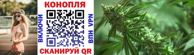 Бошки марихуана Amnesia  Купить где  Вольск 